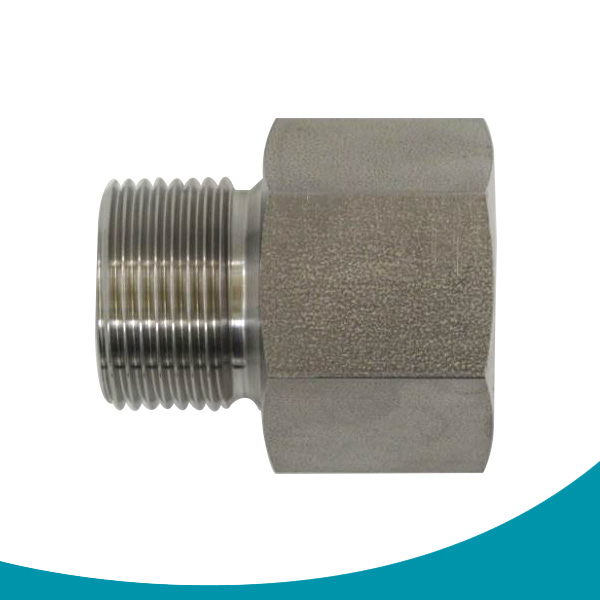 stainless steel bsp to npt thread adapters