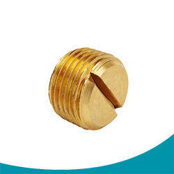 slotted head plug